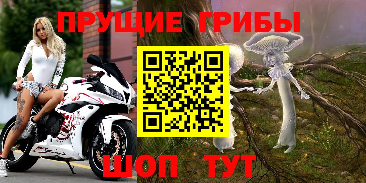 Псилоцибиновые грибы Psilocybine cubensis Белгород