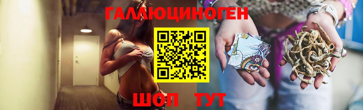 Белгород  Галлюциногенные грибы Psilocybine cubensis  Вход с VPN 